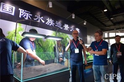 2024長(zhǎng)城水族展：2024長(zhǎng)城水族展將于2024年9月10-13日在廣州市舉辦 魚缸百科 第2張