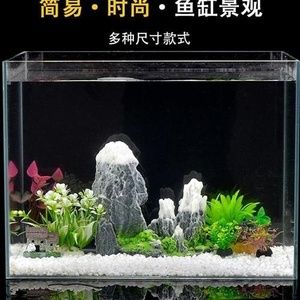 80公分魚缸造景：80公分魚缸造景的關(guān)鍵信息和步驟和注意事項(xiàng) 魚缸百科 第4張