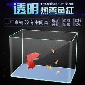 60的魚缸要多厚的玻璃膠好：60厘米的魚缸適合養(yǎng)中型魚，魚缸玻璃膠安全性最重要