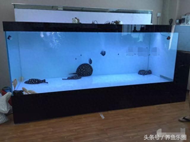 3米大型魚缸制作過程：3米大型魚缸制作大型魚缸制作步驟詳解制作步驟詳解 魚缸百科 第4張