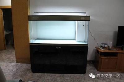 diy魚缸制作圖溢流：diy魚缸制作圖溢流的工作原理 魚缸百科 第1張