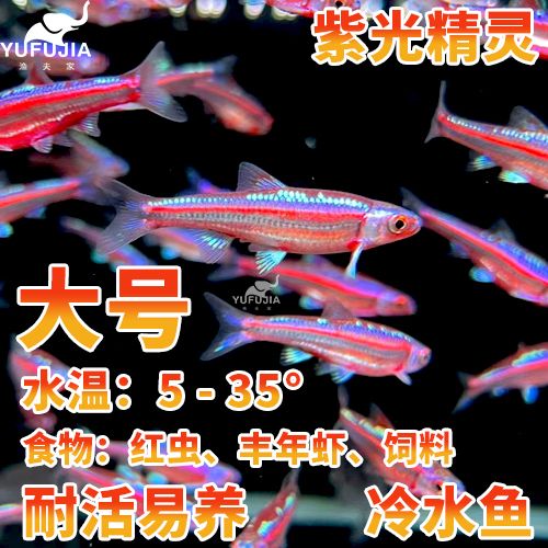 fujia魚缸：富甲魚缸十大品牌排行榜 魚缸百科 第1張