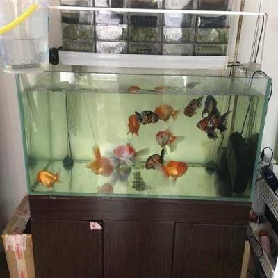 1506080的魚(yú)缸多少L：150/60/80魚(yú)缸容量計(jì)算公式