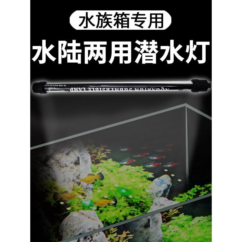 七彩龍魚什么時(shí)候變色正常：七彩龍魚變色時(shí)間主要取決于其生長環(huán)境和飼養(yǎng)方式 龍魚百科 第2張