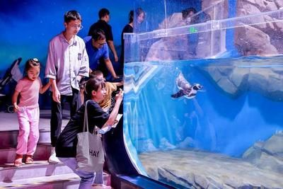 廣州一方水族館怎么樣：廣州一方水族館位于荔灣區(qū)柳橋北路西朗觀賞魚(yú)博覽中心10號(hào) 一方水族 第3張