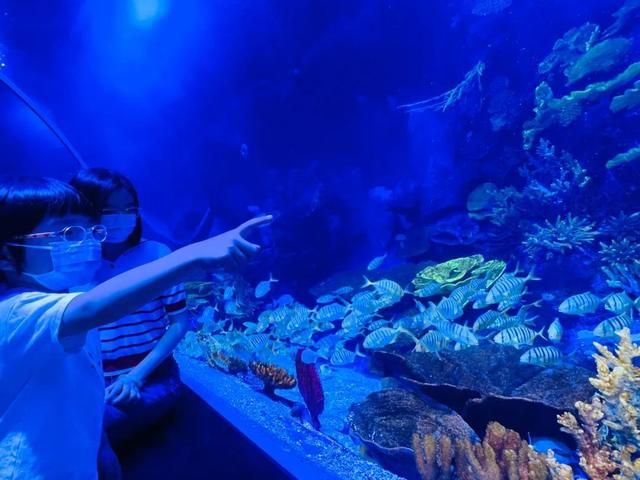 廣州一方水族館怎么樣：廣州一方水族館位于荔灣區(qū)柳橋北路西朗觀賞魚(yú)博覽中心10號(hào) 一方水族 第2張