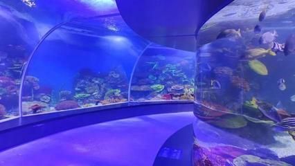 廣州一方水族館怎么樣：廣州一方水族館位于荔灣區(qū)柳橋北路西朗觀賞魚(yú)博覽中心10號(hào) 一方水族 第1張