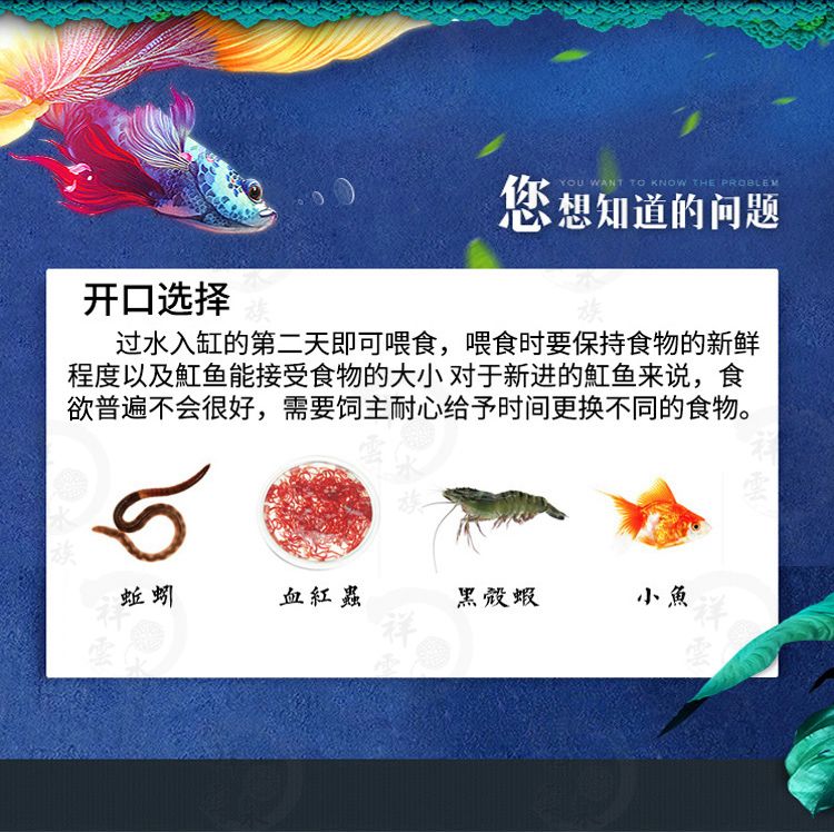 缸魚或魟魚怎么讀：缸魚或魟魚怎么讀，魟魚和魔鬼魚的區(qū)別在哪里