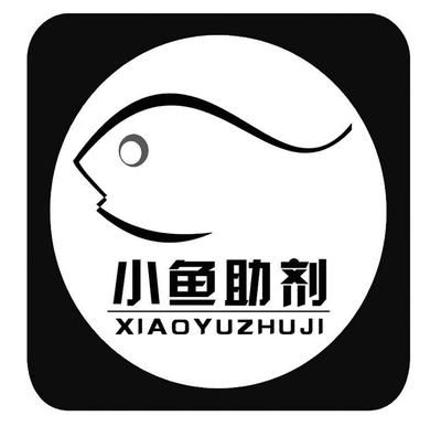 三紋虎魚(yú)養(yǎng)多久能長(zhǎng)大成型：從3公分養(yǎng)到大約15公分的三紋虎魚(yú)養(yǎng)多久能長(zhǎng)大成型 印尼三紋虎 第2張