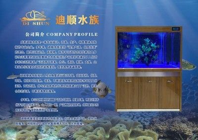 一方水族公司簡介圖片：一方水族公司簡介 一方水族 第3張