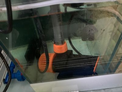 一方水族器材怎么樣好用嗎：一方水族器材在公司管理、企業(yè)文化、技術(shù)研發(fā)和市場認(rèn)可度等表現(xiàn) 一方水族 第2張