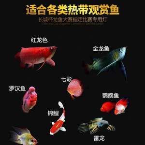 馬印和吉印的魚缸燈哪個(gè)好：馬印和吉印哪個(gè)好 馬印水族 第4張