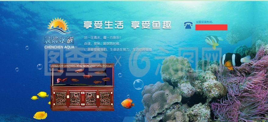 一方水族公司簡介怎么寫：一方水族公司簡介 一方水族 第3張