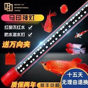 三紋虎魚跟什么搭配養(yǎng)再好：三紋虎魚在混養(yǎng)時(shí)需要考慮到它們的特性，三紋虎魚跟什么搭配養(yǎng)再好 印尼三紋虎 第2張