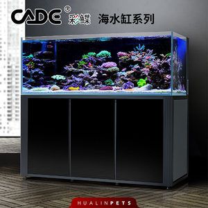 彩鰈魚缸mini尺寸：彩鰈魚缸mini尺寸如何選擇 彩鰈魚缸（彩蝶魚缸） 第2張