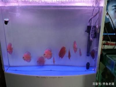 1米2魚缸怎么換水：1米2魚缸怎么換水1米2魚缸換水的詳細指南和注意事項 魚缸定做 第2張