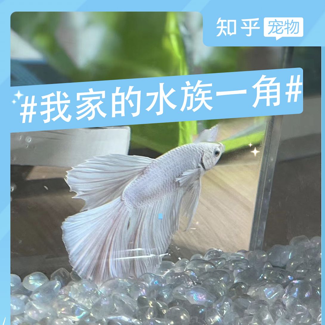 一方水族產(chǎn)品質(zhì)量怎么樣知乎：一方水族產(chǎn)品質(zhì)量怎么樣 一方水族 第2張