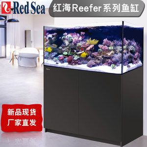 100魚缸有必要底濾嗎：100魚缸使用底濾是有必要的，100魚缸有必要底濾嗎