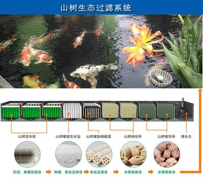 彩蝶魚缸過濾器怎么用視頻：彩蝶魚缸過濾器怎么用