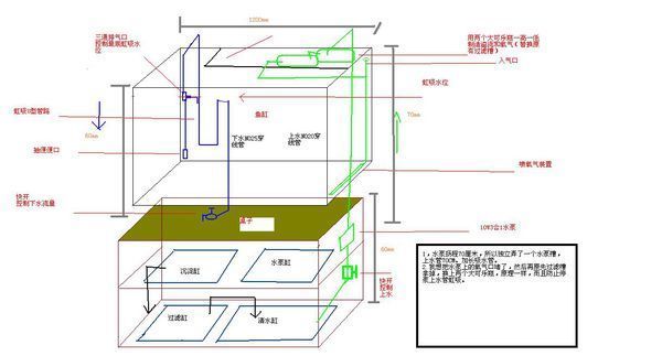 龍魚吃白條魚好嗎：龍魚可以吃白條魚嗎