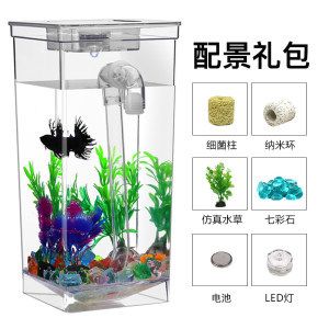 虎魚眼睛黑眼球有白點：虎魚眼睛黑眼球出現(xiàn)白點可能是由于以下幾種情況 虎魚百科 第3張