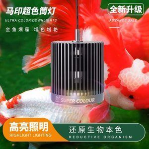 馬印神燈照后水變綠：馬印神燈照后水變綠怎么辦 馬印水族 第2張