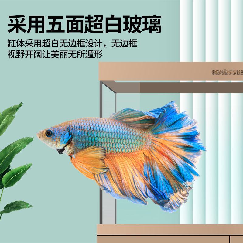 博特魚缸怎么換水的：博特魚缸怎么換水