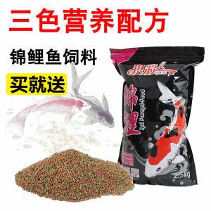 蘇虎魚吃什么飼料：蘇虎魚的飼料選擇和注意事項(xiàng) 蘇虎 第1張