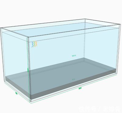 1.2米魚缸的標準寬度高度是多少：1.2米魚缸標準寬度高度是多少，1.2米魚缸標準寬度是多少 魚缸百科 第3張