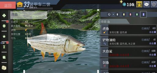 魚缸放沉木能讓虎魚明碼：魚缸放沉木可以為虎魚提供更接近自然的生活環(huán)境 虎魚百科 第1張