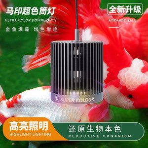 馬印神燈可以潛水嗎：馬印神燈是一款專為水族箱設(shè)計的照明設(shè)備 馬印水族 第3張