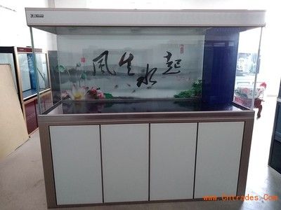 魚缸龍魚繁殖：幼年龍魚喂養(yǎng)的要點 龍魚百科 第2張