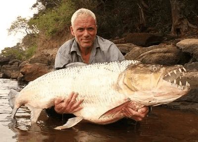 印度虎魚能吃嗎：印度虎魚是否適合食用，印度虎魚能吃嗎， 虎魚百科 第1張