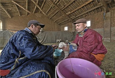 魟魚需要沖浪泵嗎：[需手動填充]魚是否需要沖浪泵？ 魟魚百科 第4張