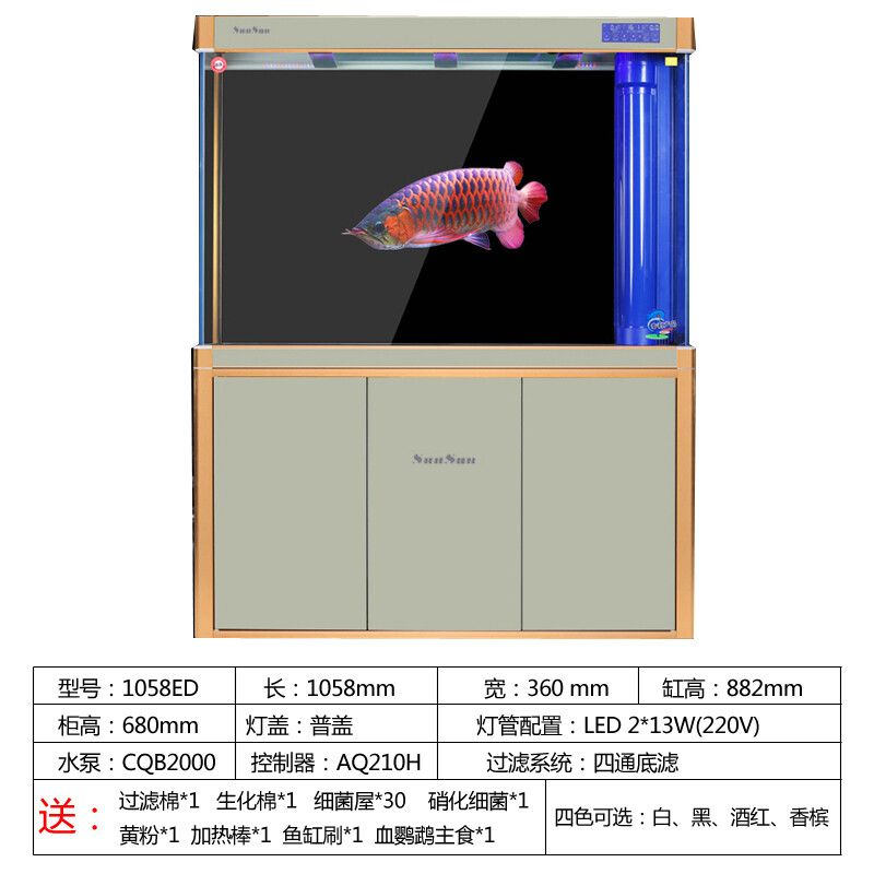 新手選龍魚尺寸多大的：新手選擇龍魚尺寸多大的 龍魚百科 第1張