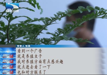 元寶鳳凰吃蛋白蟲(chóng)嗎：元寶鳳凰的食物種類(lèi)比較雜，幾乎什么食物都可以吃