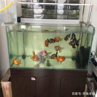 1米2魚缸怎么換水：1米2魚缸怎么換水，1米2魚缸換水的步驟和注意事項(xiàng) 魚缸百科 第1張