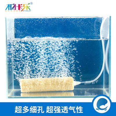 1.2米魚缸下過濾都用什么材料：1.2米魚缸下過濾用什么材料