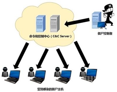 博特英語名字：博特英語名字怎么??？