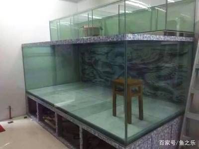 魟魚用多大的缸養(yǎng)：養(yǎng)魟魚用多大的缸養(yǎng) 魟魚百科 第1張