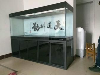 彩蝶魚(yú)缸玻璃厚度多少毫米：彩蝶魚(yú)缸玻璃厚度多少毫米彩蝶魚(yú)缸玻璃厚度多少毫米 彩鰈魚(yú)缸（彩蝶魚(yú)缸） 第3張