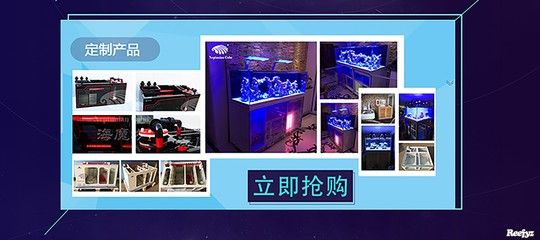 博特水族工廠：東莞博特水族工廠