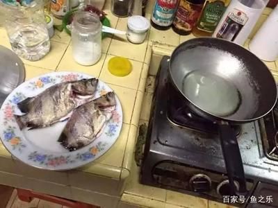 泰國虎魚的做法和吃法：泰國虎魚烹飪方法和吃法和吃法和吃法和吃法和吃法 泰國虎魚 第2張