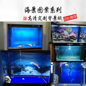 泰虎魚缸背景：如何選擇泰虎魚缸背景