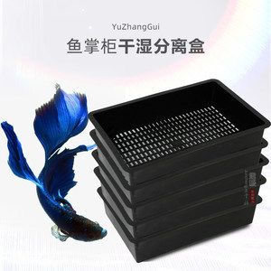 養(yǎng)龍魚用什么過濾器最好：養(yǎng)龍魚時選擇底部過濾器、使用ppr供水管、搭配玻璃環(huán)和過濾棉 龍魚百科 第1張