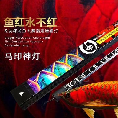 馬印水族用品怎么樣：馬印水族用品 馬印水族 第4張