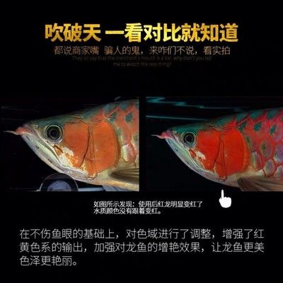 馬印2700k烤色燈怎么用：馬印2700k烤色燈使用方法 馬印水族 第4張