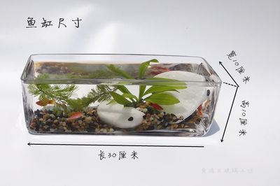 10cm小魚缸：10cm的小魚缸適合養(yǎng)一些小型熱帶魚，如孔雀魚或泰國斗魚 魚缸定做 第1張