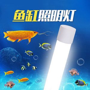 金龍魚夜燈的角度擺放：金龍魚夜燈擺放位置和角度對(duì)于防止龍魚掉眼以及促進(jìn)其健康生長(zhǎng)