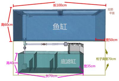 1米2的魚缸多高合適養(yǎng)魚：1米2的魚缸多高合適養(yǎng)魚，合適的高度在60公分之間 魚缸定做 第2張